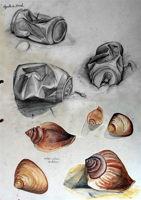 Example Of A Gcse Art Sketchbook Exploring Shells Gcse Art Sketchbook