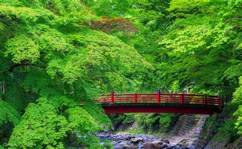 Mount Fuji Hakone Kamakura Izu Popular Check In Spots And Hot Spring Hotels Day Tour
