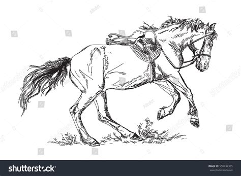 24,484 Wild Horse Sketch Images, Stock Photos & Vectors | Shutterstock