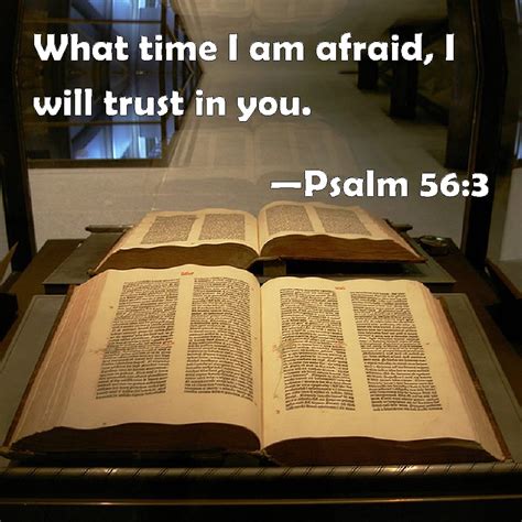 Psalm 56 3 What Time I Am Afraid I Will Trust In You