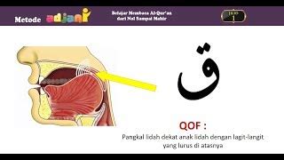 Cara Membaca Qof Sifat Dan Makhroj Huruf Hijaiyyah Qof Doovi