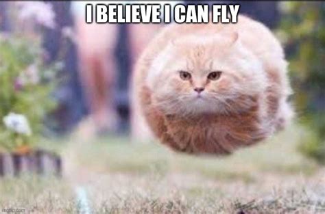 I Believe I Can Fly Imgflip