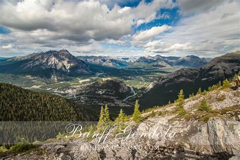 view from banff gondola