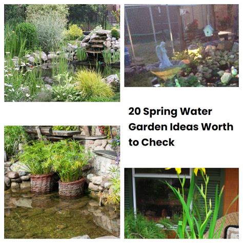 Spring Water Garden Ideas Worth To Check Sharonsable