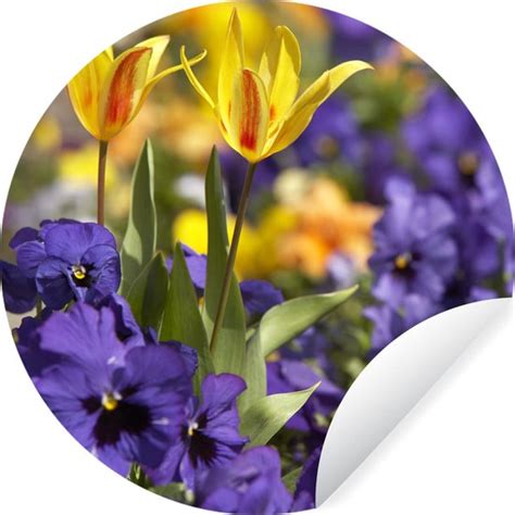 WallCircle Muurstickers Behangcirkel Lente Bloemen Kleuren