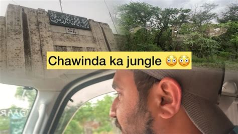 Chawinda Ka Jungle Dekha Bachpan Ki Yad Taza Ho Gai Foryou