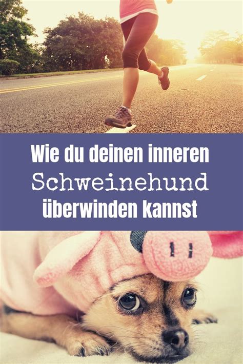 Ausreden Ade Dein Innerer Schweinehund Wird Zum Laufbuddy