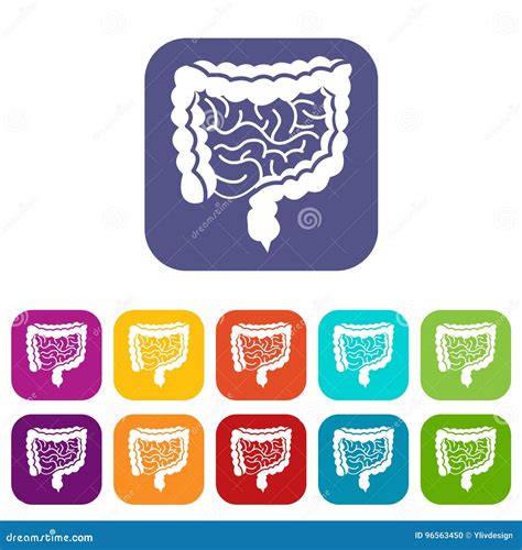 Intestines Icons Set Stock Vector Illustration Of Icons