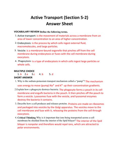 43 Active Transport Worksheet Answers Worksheet For Fun