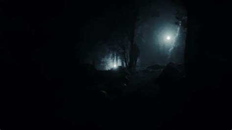 Night Forest Horror Scenery Sound Effect Youtube