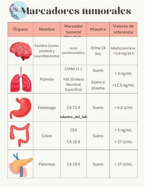 Marcadores Tumorales Dentro Del Lab UDocz