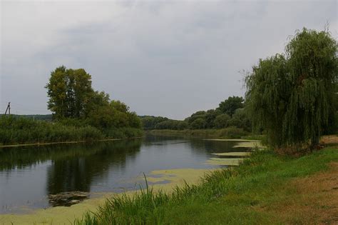 Shebekino