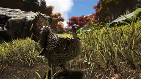 'ARK: Survival Evolved' Turkey Trial Guide: How to Get Wishbones & Find Super Turkeys - Newsweek