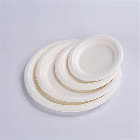 Sugar Cane Bagasse Pulp Plate Paper Tray Biodegradable Paper Plate 7 9