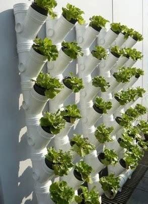 Pvc Pipe Vertical Garden Garden Design Ideas