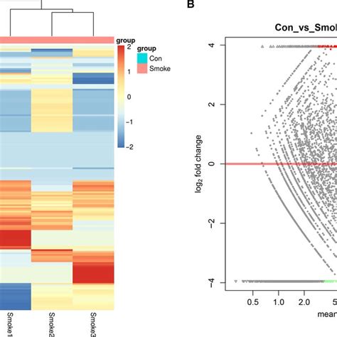 CircRNA Expression Between Control Samples And Smoke Samples A Heat