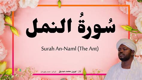 Surah An Naml Beautiful Quran Recitation By Qari