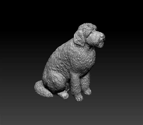 Stl File Goldendoodle 🐕 ・model To Download And 3d Print・cults