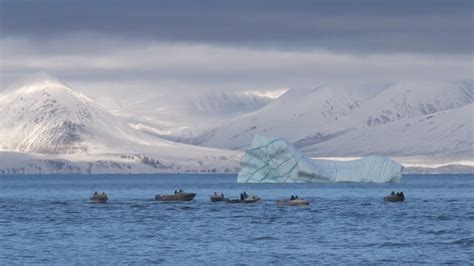 Efforts To Heal Hole In Ozone Layer Also Helped Arctic Sea Ice Study