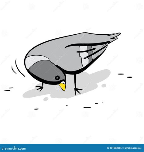 Pidgeon Cartoons Illustrations And Vector Stock Images 144 Pictures To