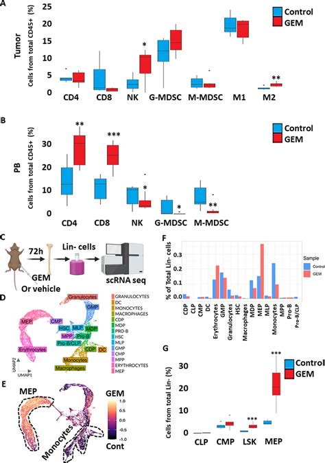 Gemcitabine Treatment Affects Immune Cell Composition In Tumors