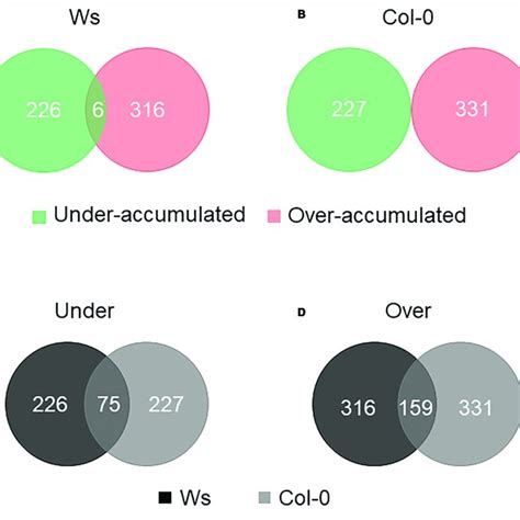 Venn Diagram Of Differentially Accumulated Proteins Daps In Download Scientific Diagram