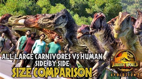 All Large Carnivores Vs Human Side By Side Size Comparison Jurassic World Evolution 2 Youtube