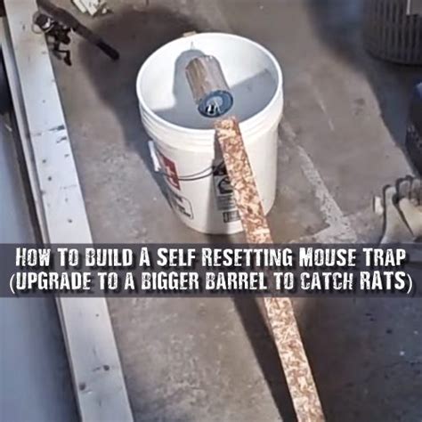 How To Build A Self Resetting Mouse Trap Upgrade To A Bigger Barrel To