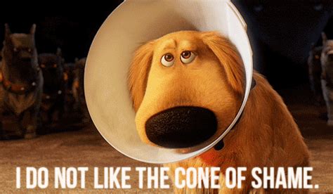 Dug Saying “I Do Not Like the Cone of Shame” (Up) | Gifrific