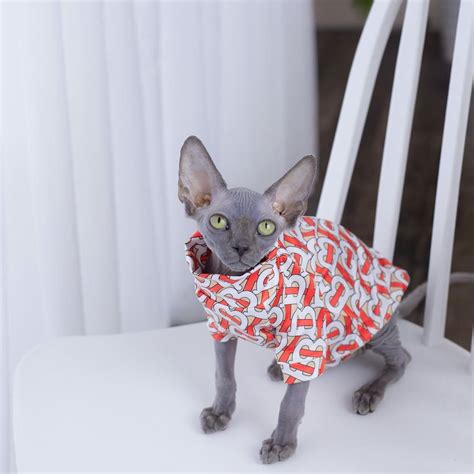 Sphynx Cat T Shirt B Fashion Shirt · Yeswarmg