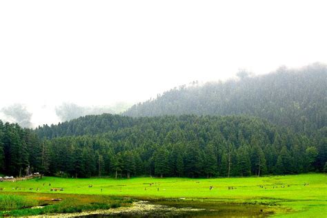 Kailash Parbat Khajjiar Location Trekking How To Reach Holidify