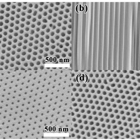 Sem Images Of A The Surface B Cross Sectional View Of The Aao