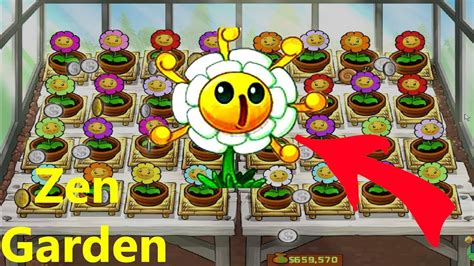 Plants Vs Zombies Zen Garden Youtube