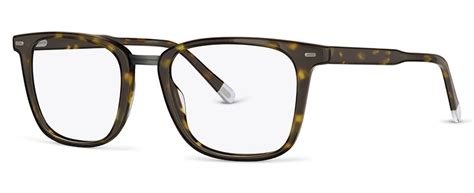 Chicory C2 Glasses By Ecco Concious Glasses Online