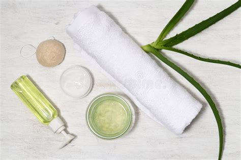 Skin Care Products With Aloe Vera Stock Image Image Of Cosmetic