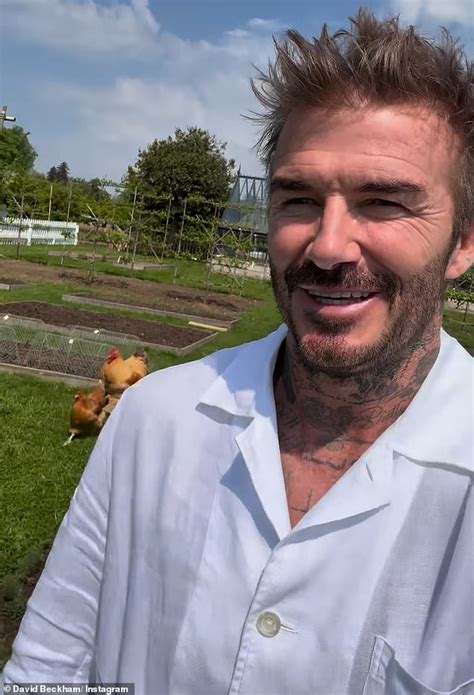 Posh Poultry David Beckham Takes A Stroll With His Chickens At