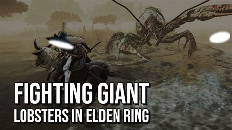 Fighting Giant Lobsters In Elden Ring Youtube