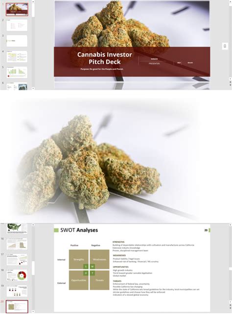 Cannabis Delivery Online Store Investor Pitch Deck Template Business Plan Templates