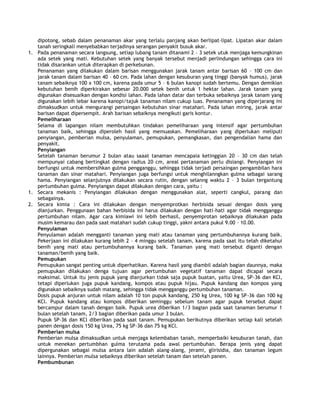 Budidaya Tanaman Nilam PDF