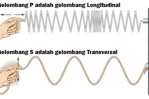 Detail Contoh Soal Gelombang Transversal Dan Longitudinal Koleksi Nomer