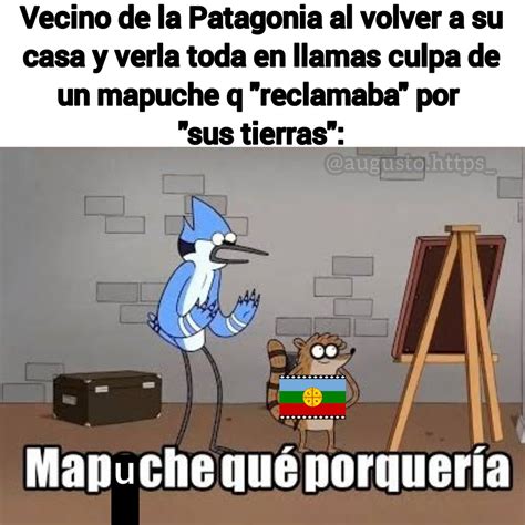 Top Memes De Mapache Que Porqueria En Español Memedroid