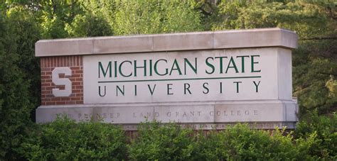 MSU faculty recognized as global top researchers | MSUToday | Michigan ...