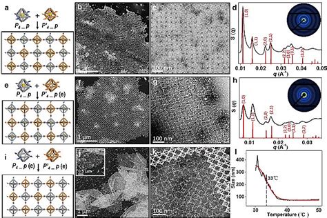 南京大学田野教授课题组angew Chem：dna折纸框架结构引导胶体粒子特异性组装 X Mol资讯