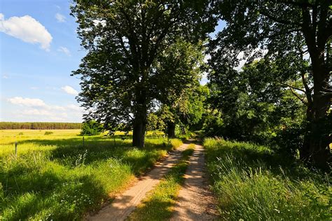 Gut Strukturierte Feldwege K Nnen Wertvolle Biotope In Der Feldmark