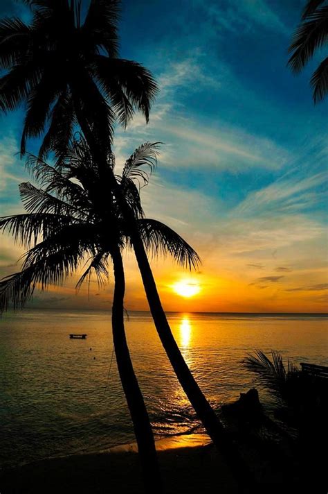 Foto Matahari Terbit Di Pantai Andira Gambar