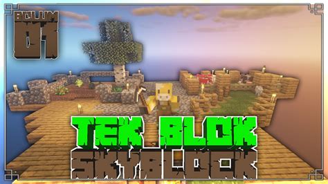 TEK BLOK SKYBLOCK Bölüm 1 YouTube