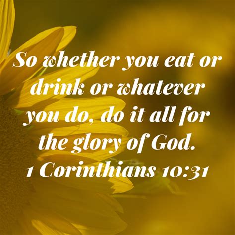 1 Corinthians 10 31 So Whether You Eat Or Drink Or Whatever You Do Do