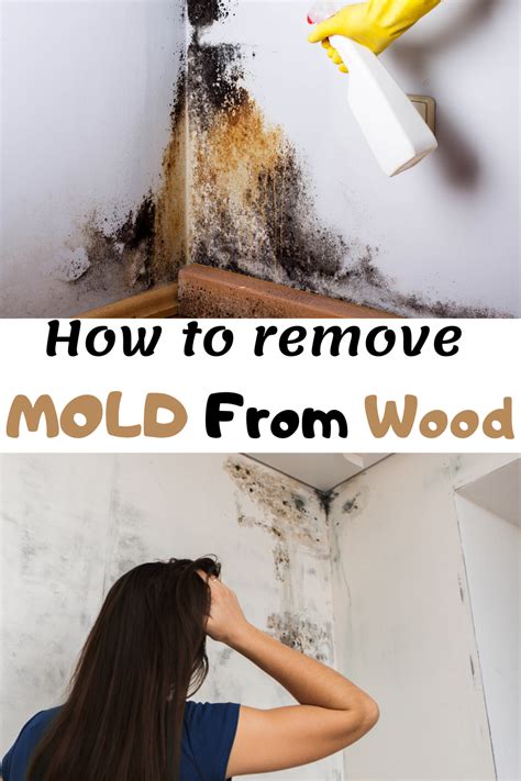 How To Remove Mold From Wood Mold Remover Molding Woodworking