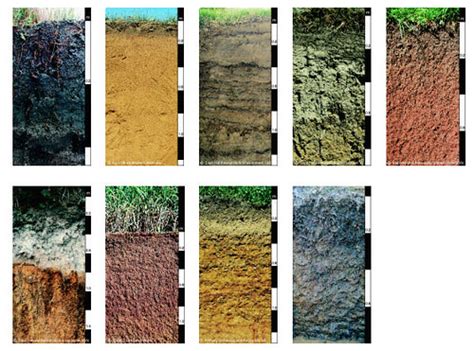 Soil Samples Different Soils Showing Their Different Color Flickr