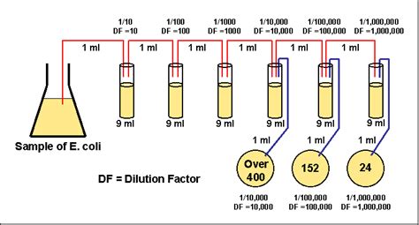 How To Calculate Cfu Ml Formula How Do You Calculate Cell